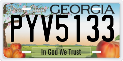 GA license plate PYV5133