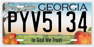 GA license plate PYV5134