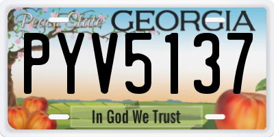 GA license plate PYV5137