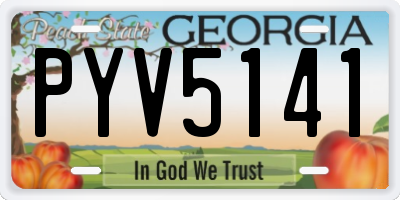 GA license plate PYV5141