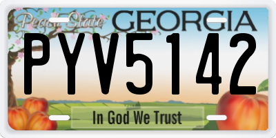 GA license plate PYV5142