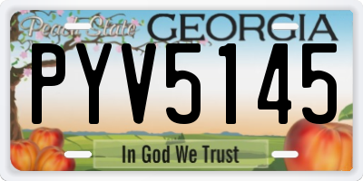 GA license plate PYV5145