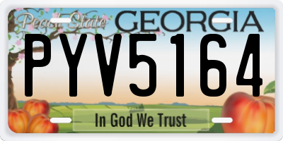 GA license plate PYV5164