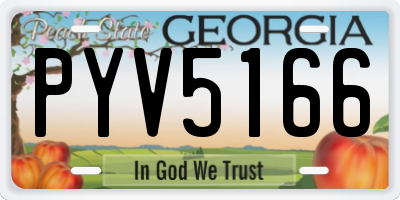 GA license plate PYV5166