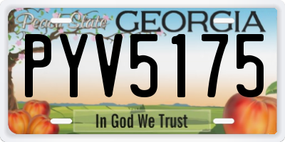 GA license plate PYV5175