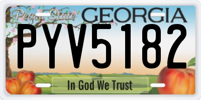 GA license plate PYV5182