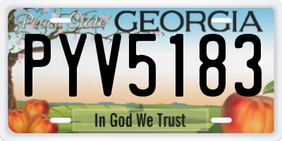 GA license plate PYV5183