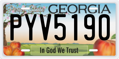 GA license plate PYV5190