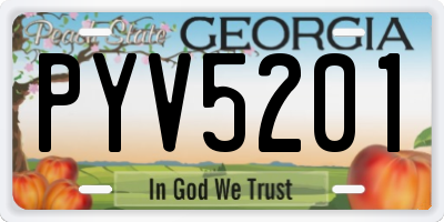 GA license plate PYV5201