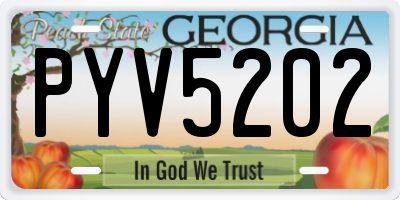 GA license plate PYV5202