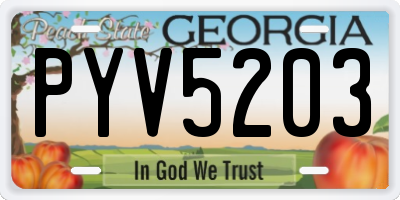 GA license plate PYV5203