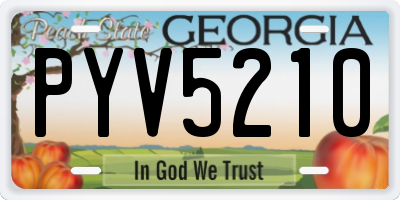 GA license plate PYV5210