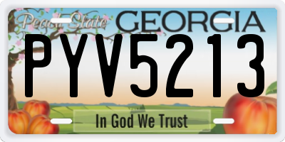 GA license plate PYV5213