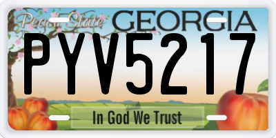 GA license plate PYV5217