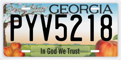 GA license plate PYV5218