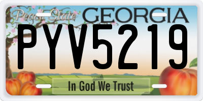 GA license plate PYV5219