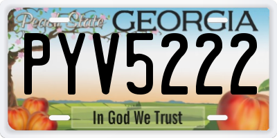 GA license plate PYV5222