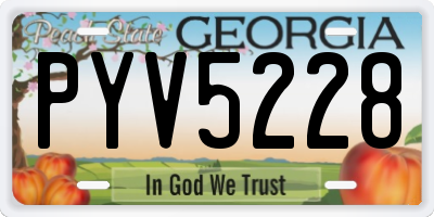 GA license plate PYV5228