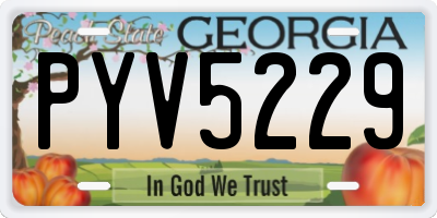 GA license plate PYV5229
