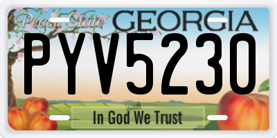 GA license plate PYV5230