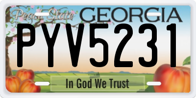 GA license plate PYV5231