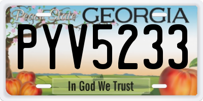GA license plate PYV5233