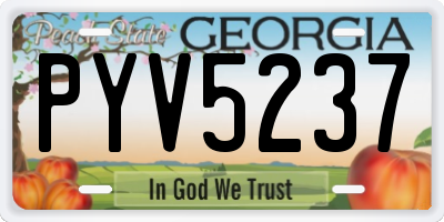 GA license plate PYV5237