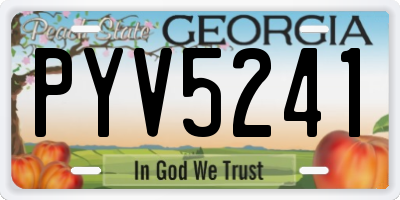 GA license plate PYV5241