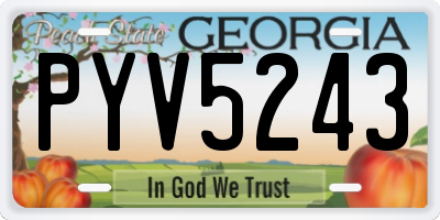 GA license plate PYV5243
