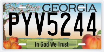 GA license plate PYV5244
