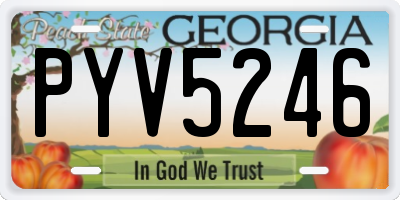 GA license plate PYV5246