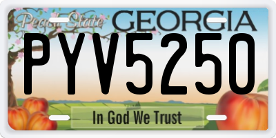 GA license plate PYV5250