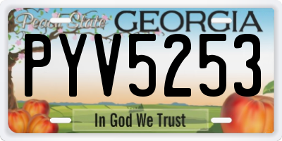 GA license plate PYV5253