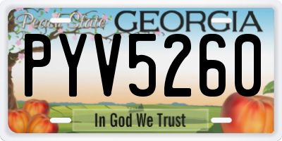 GA license plate PYV5260