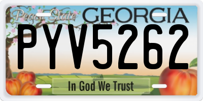 GA license plate PYV5262