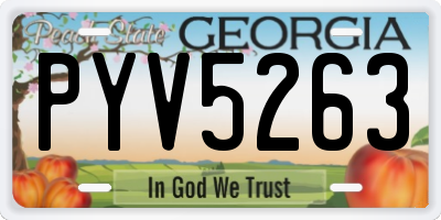 GA license plate PYV5263