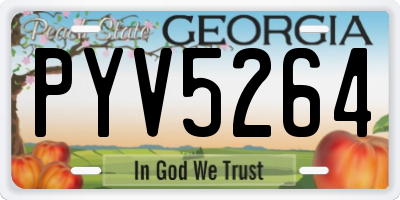 GA license plate PYV5264