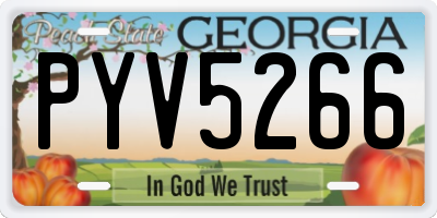 GA license plate PYV5266