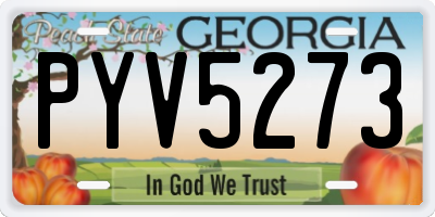 GA license plate PYV5273
