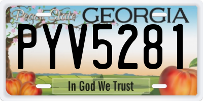 GA license plate PYV5281
