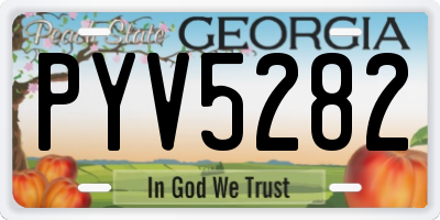 GA license plate PYV5282