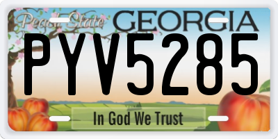 GA license plate PYV5285