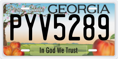 GA license plate PYV5289