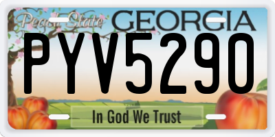 GA license plate PYV5290