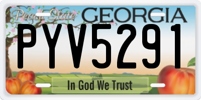 GA license plate PYV5291