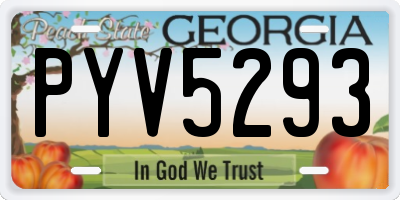 GA license plate PYV5293