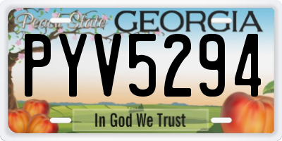 GA license plate PYV5294