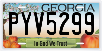 GA license plate PYV5299