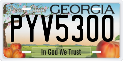 GA license plate PYV5300