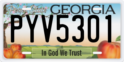 GA license plate PYV5301